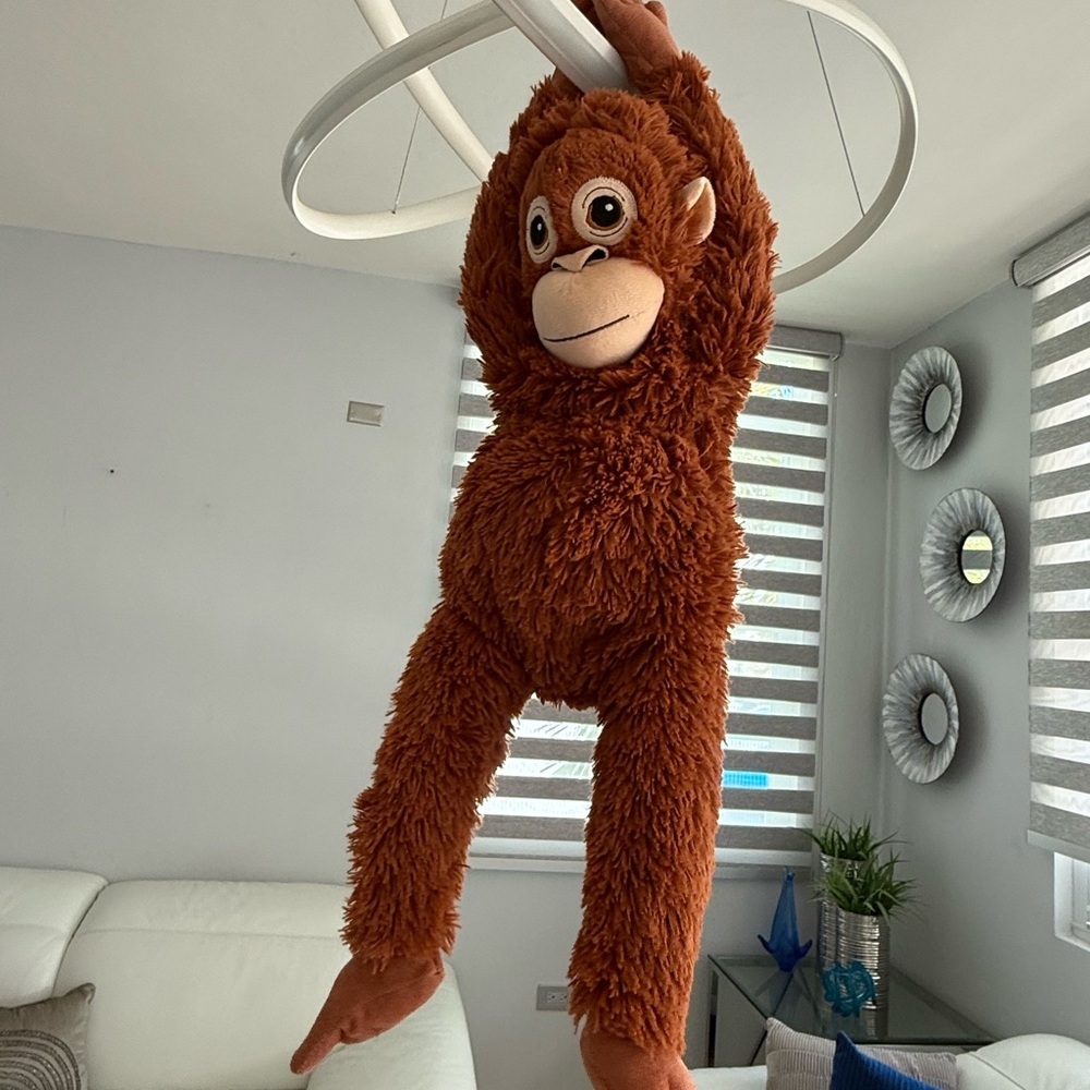 Punch Monkey - Picture 5 of 6